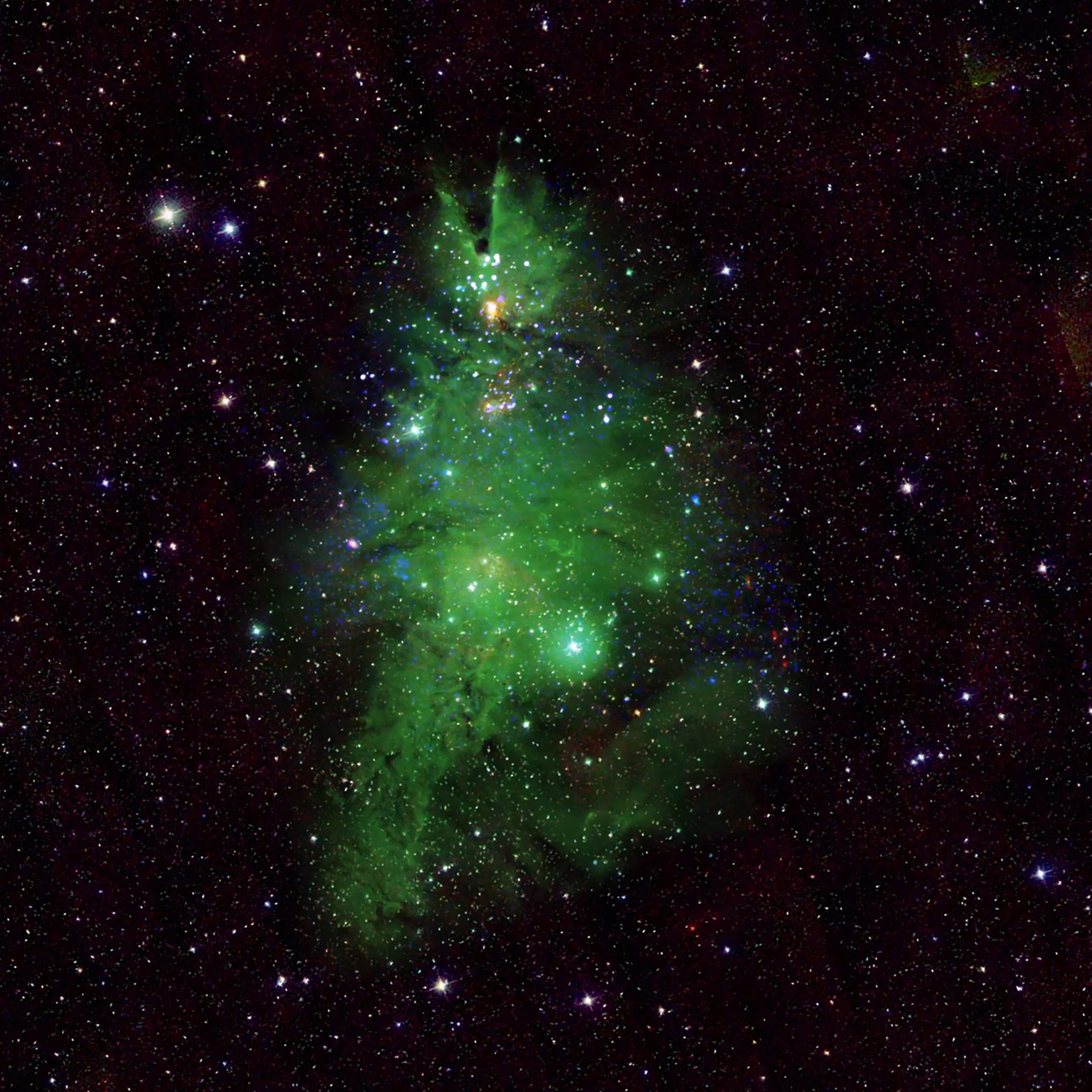 2015オーストラリア1オンス銀貨メリークリスマスツリー 星型銀貨NGC70UC 最高鑑定メリークリスマスツリー2015年オーストラリア1オンス